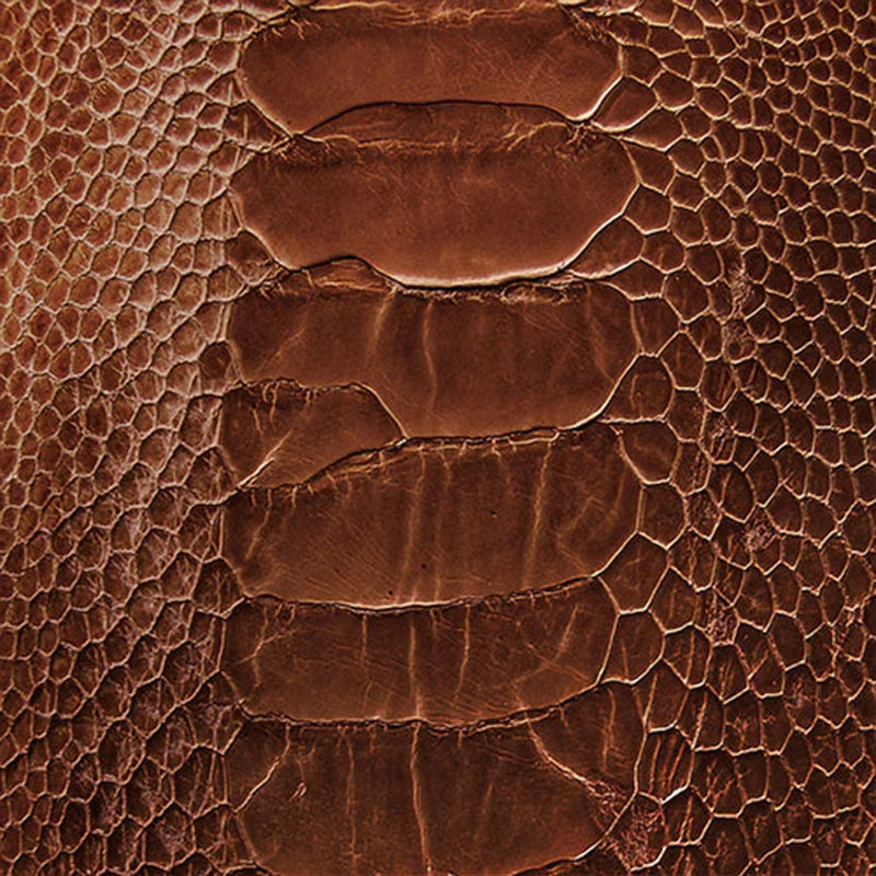 Ostrich Leg: Western Products