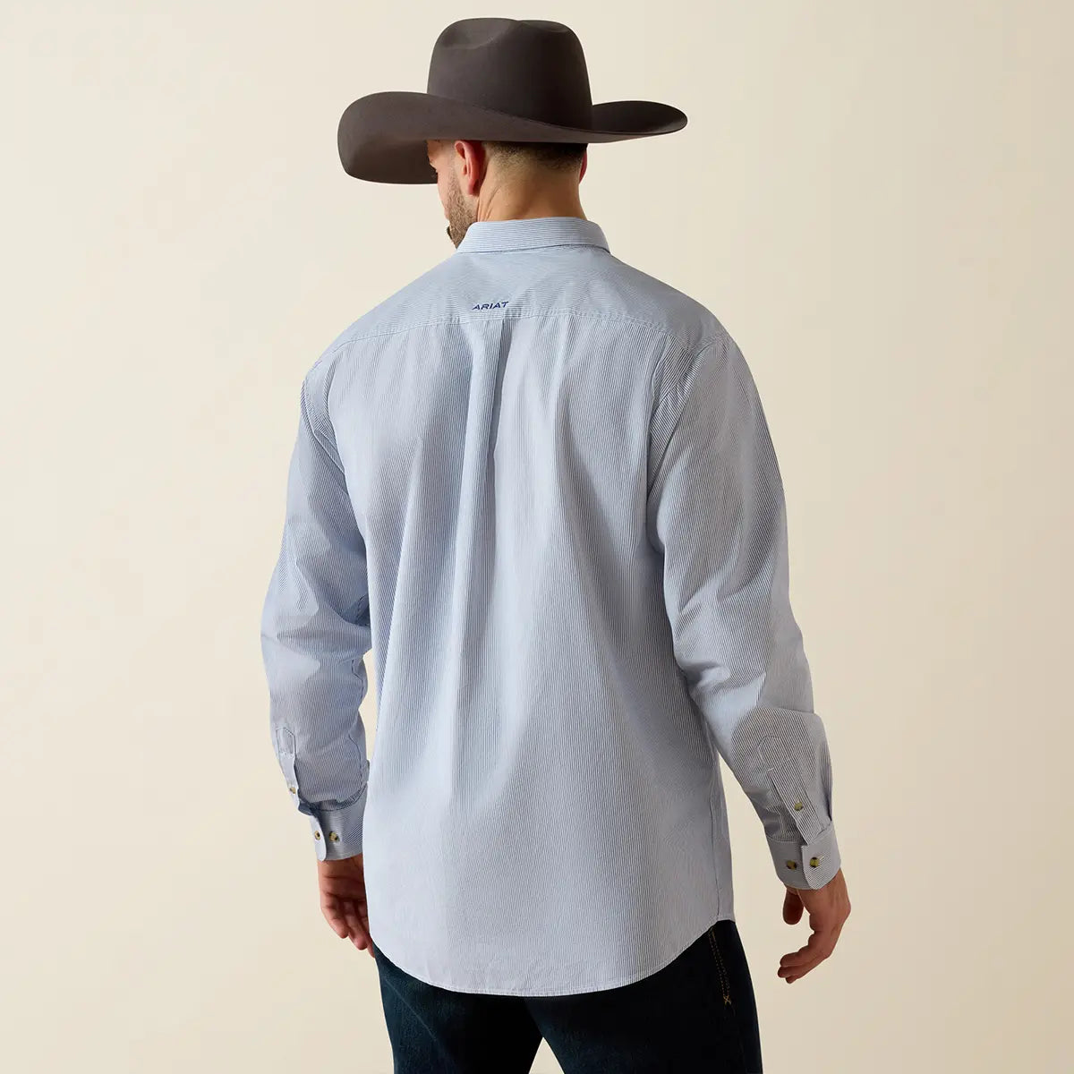 Rear view of a model wearing the Ariat Men's Pro Series Dayne True Blue shirt showing the back box pleat, blue Ariat neck logo, and dark cowboy hat.