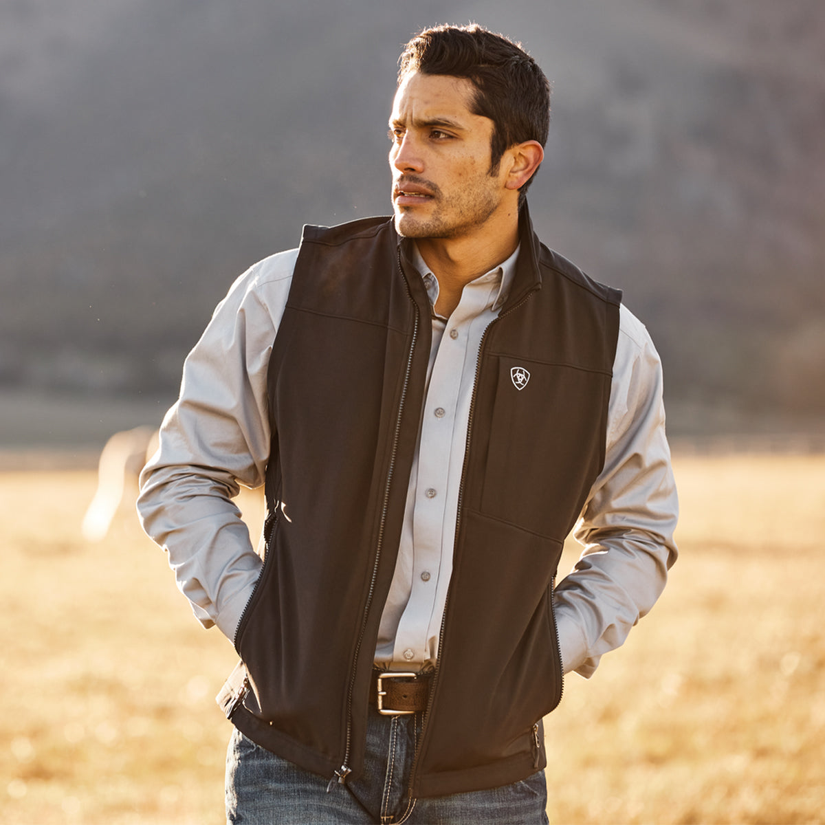 Men Ariat vest