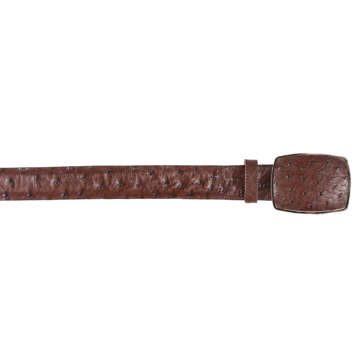 Streve Ostrich Leather & Woven Vintage Brown Belt Solid Bronze Hardware Size 34 Los Altos Brown Ostrich Leg Belt | Genuine Exotic Leather main image 3