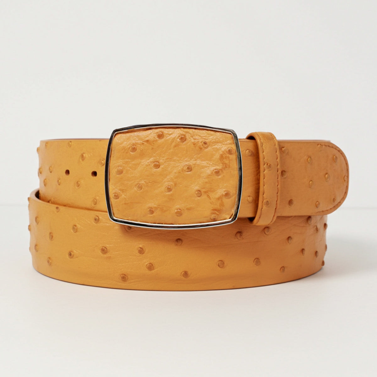 Ostrich Belt Buttercup