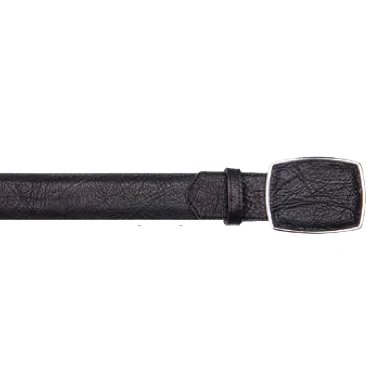 Bull Shoulder Black Belt