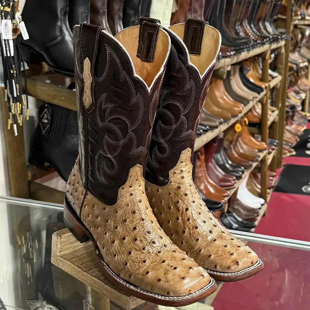 A pair of Quincy men's western square toe cowboy boots with tan ostrich print textured and dark brown embroidered shafts, displayed on a wooden stand inside a boot store.