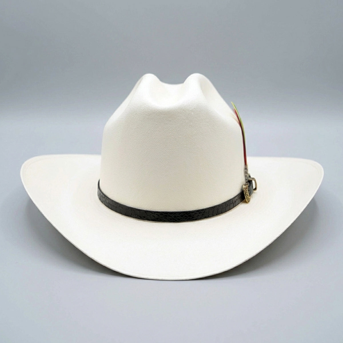 Sombrero Tombstone Chaparral 5000X