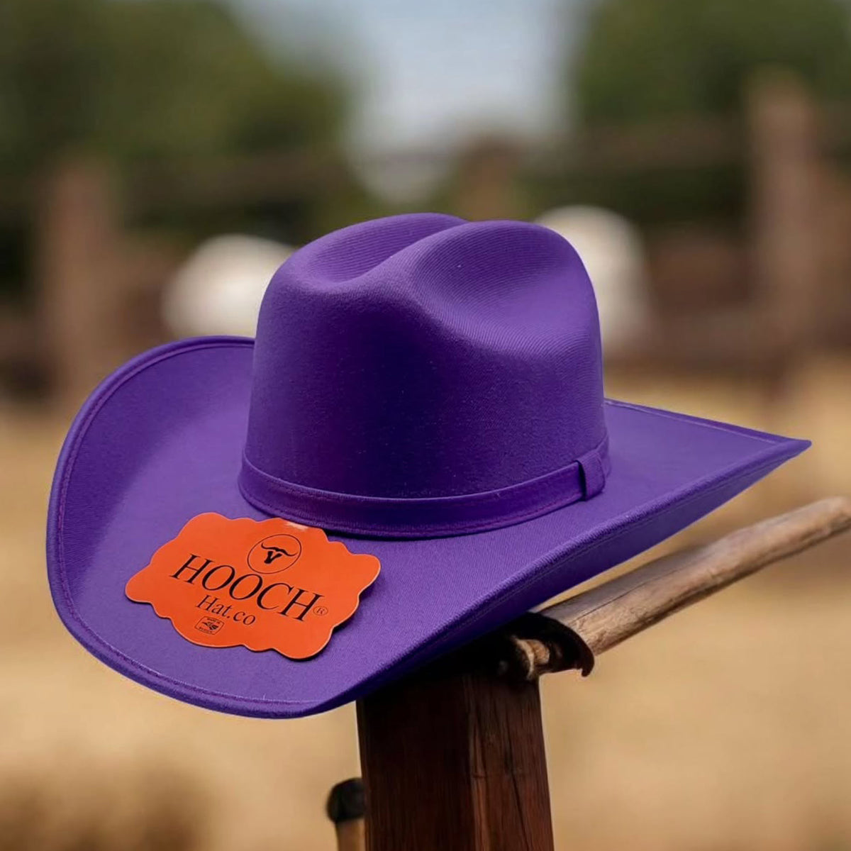 Purple Cowboy Hat