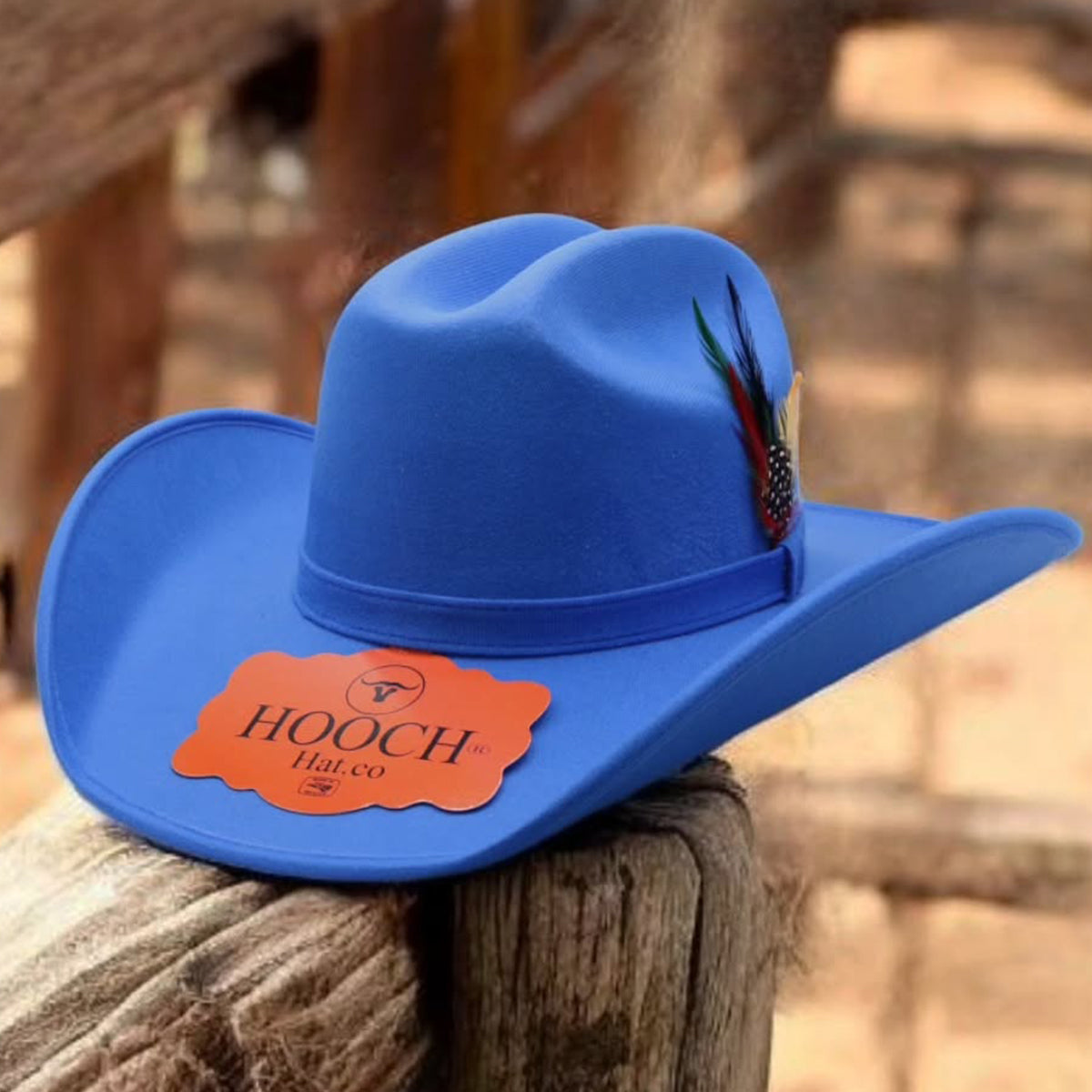 Blue Cowboy Hat