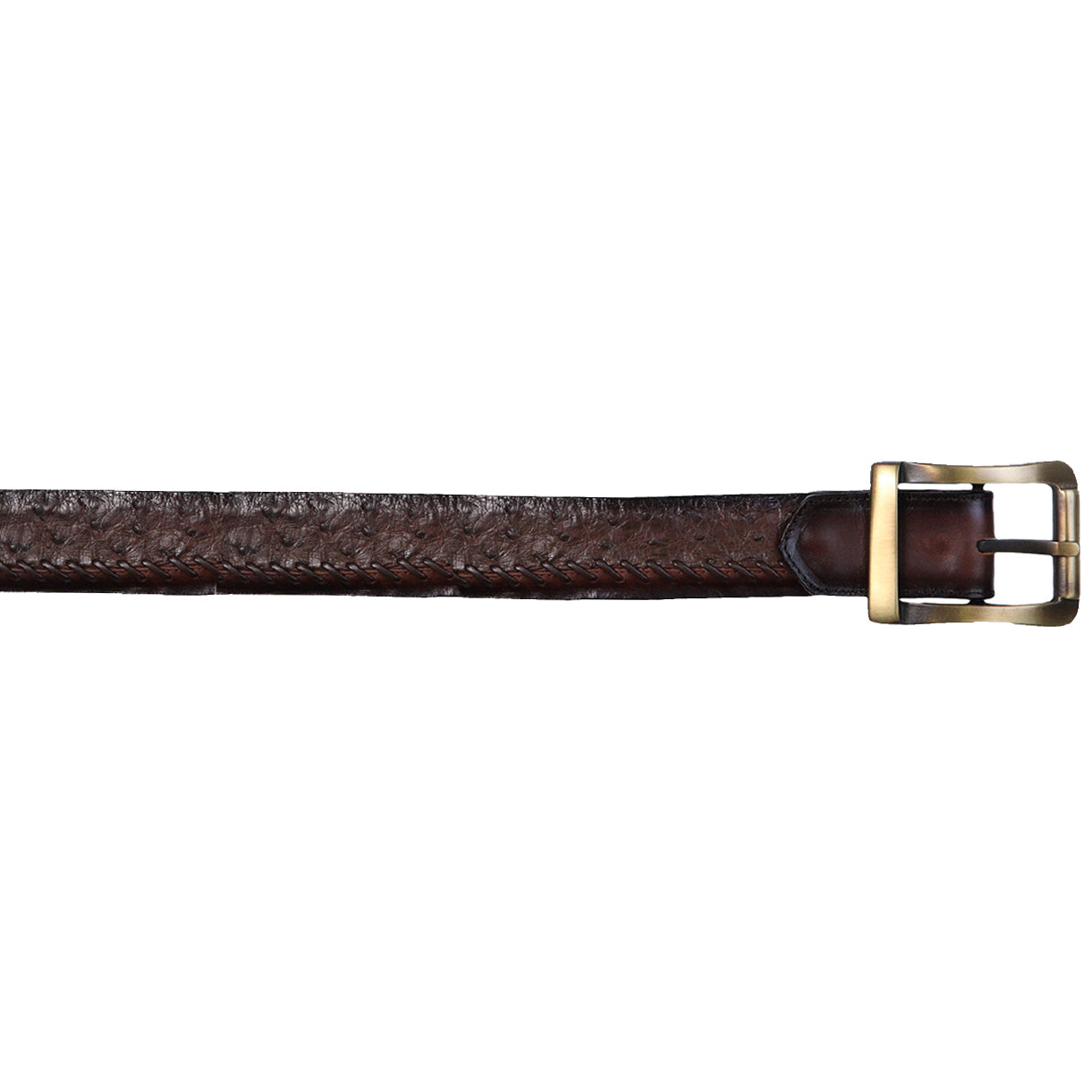Brown Ostrich Dress Belt 44 / Brown Brown Ostrich Dress Belt 44 / Brown