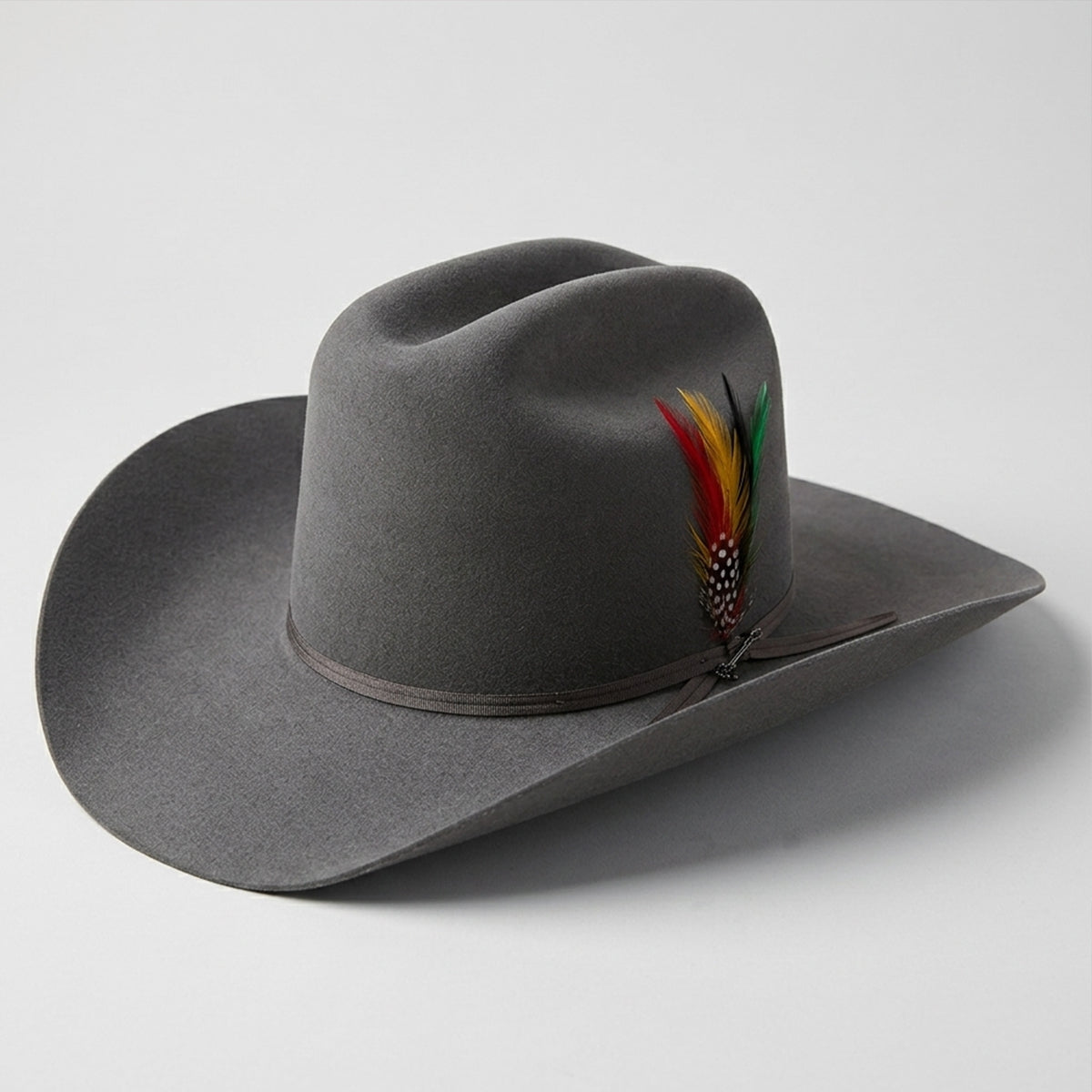 Stetson 6x Rancher gray felt cowboy hat with feather detail on a light gray background.