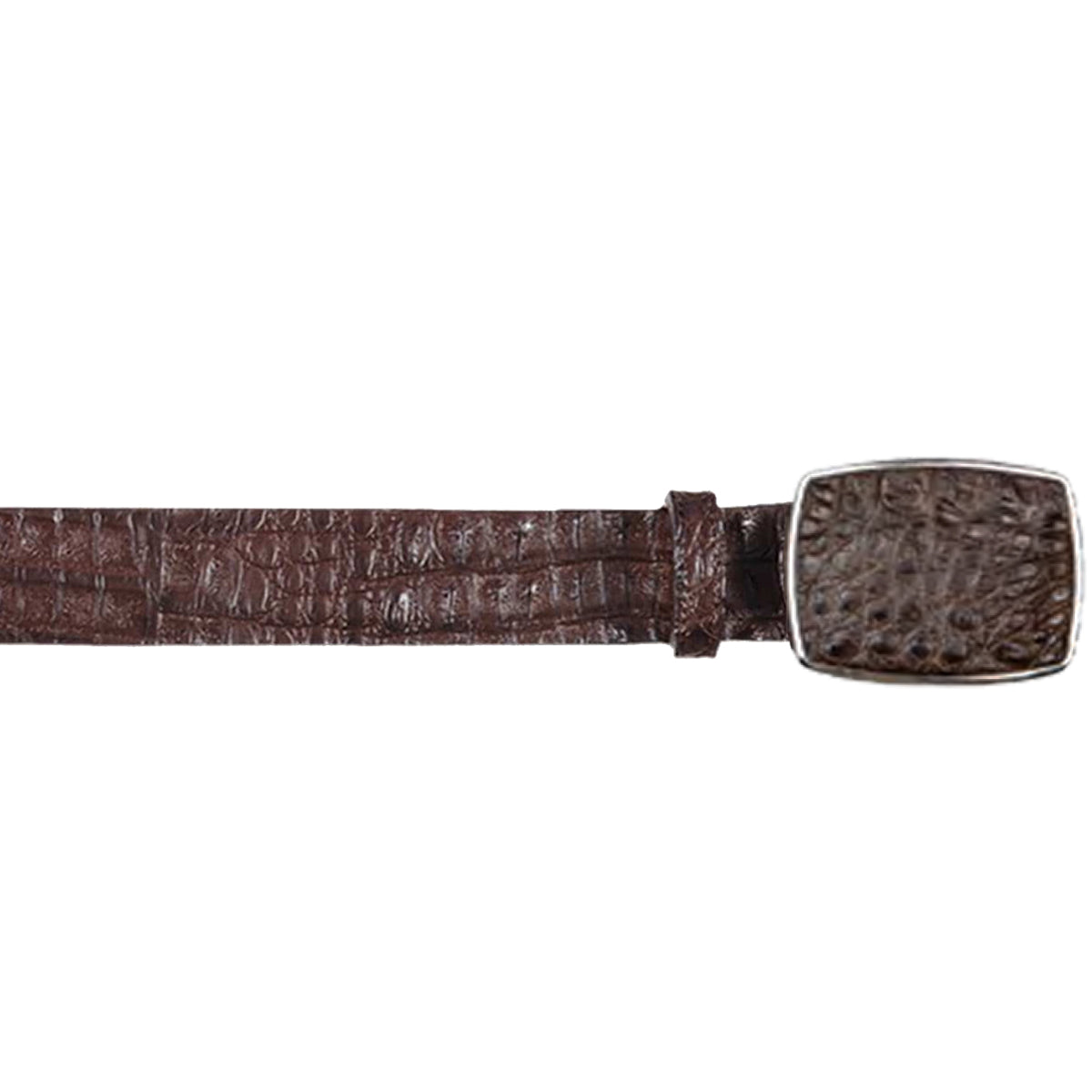 Brown Caiman Hornaback Belt