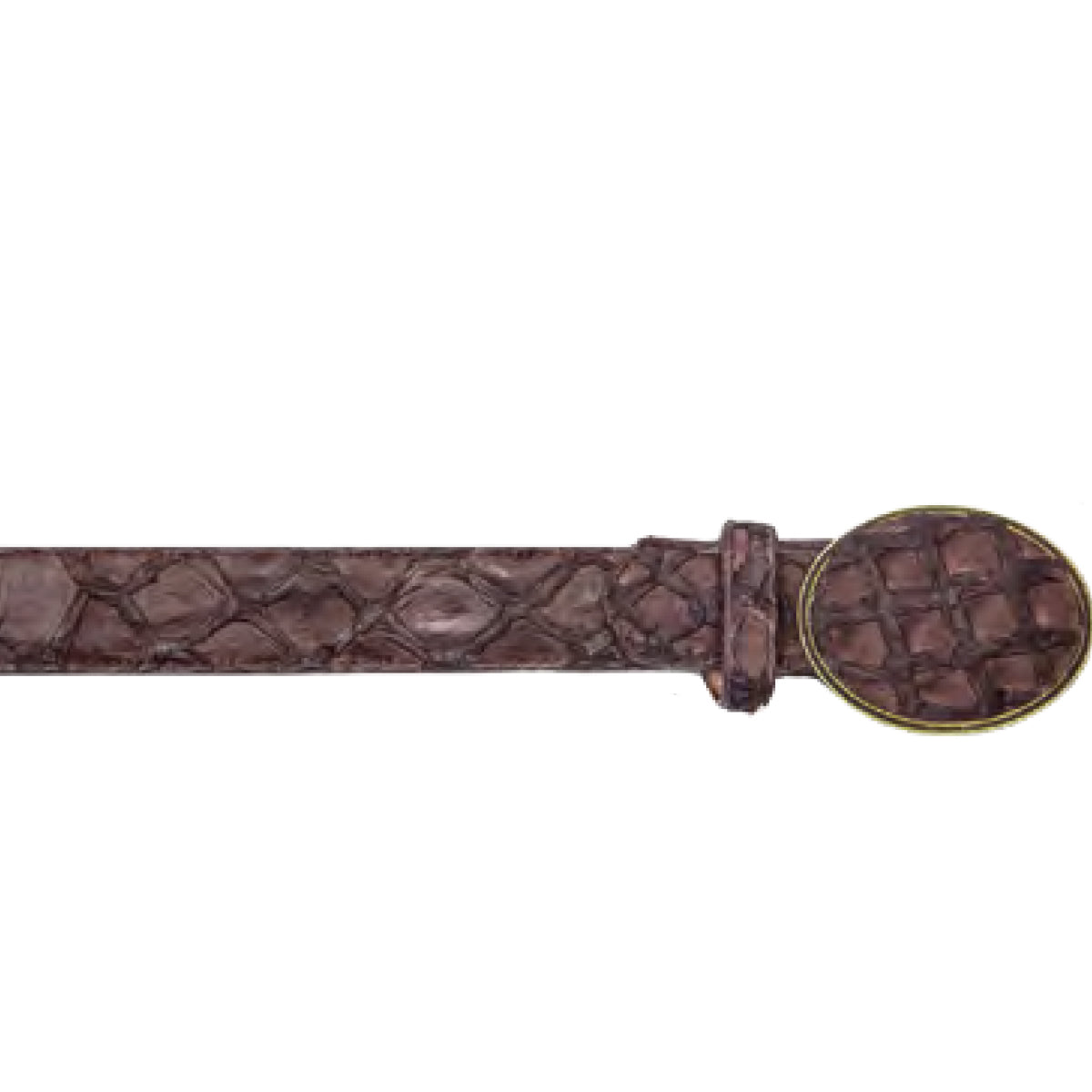 Brown Pirarucu Belt