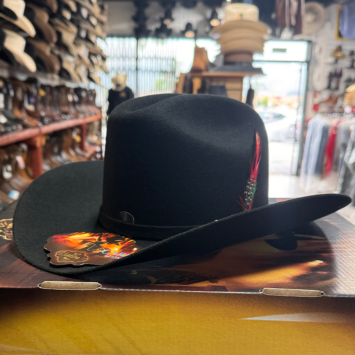 Carin Leon cowboy hat