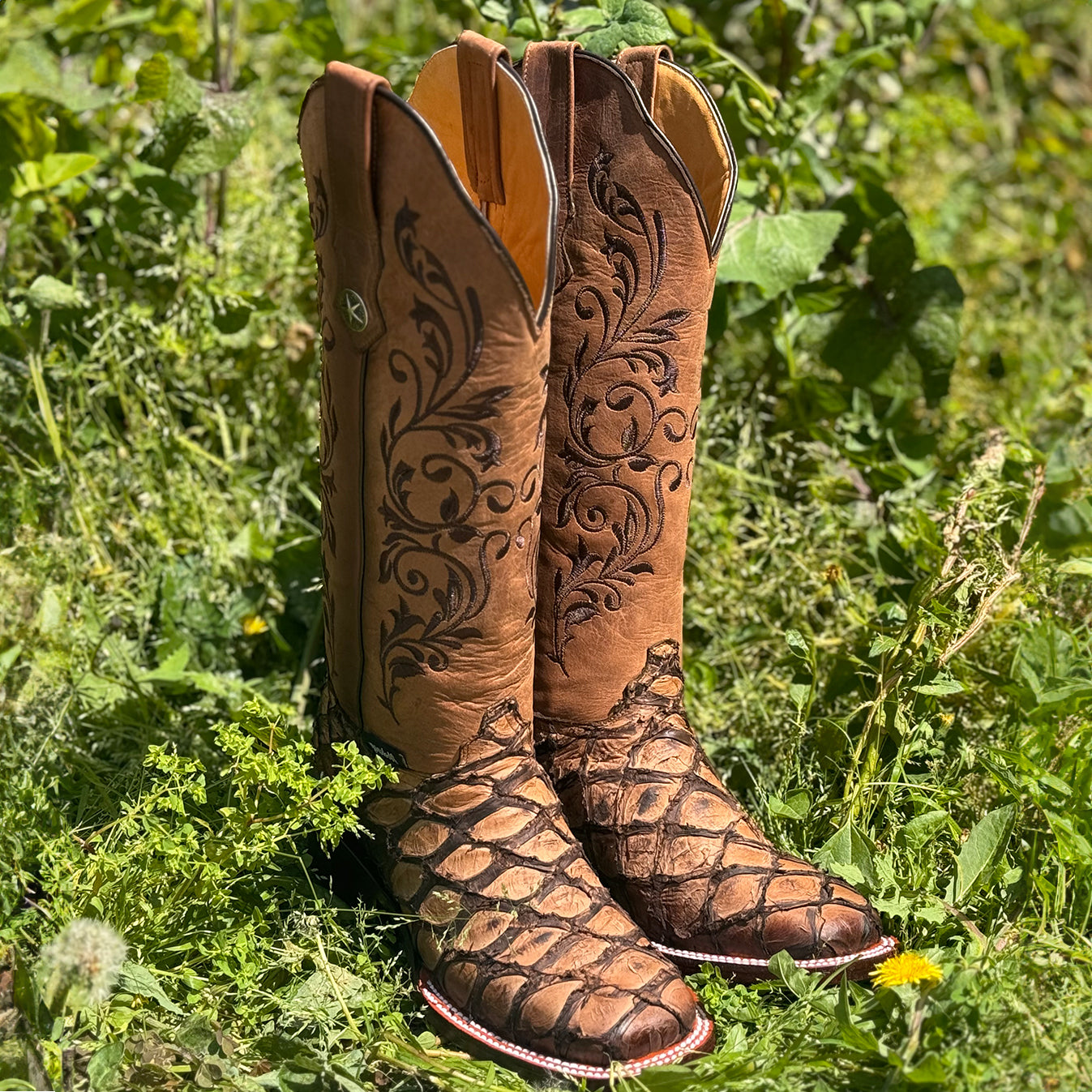 Women's Pirarucu Boots By Abolengo