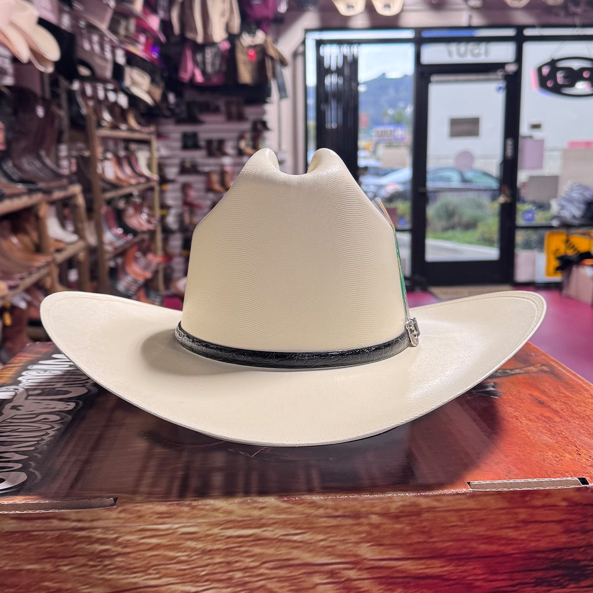 Sombrero Cuernos Chuecos Johnson 5,000x