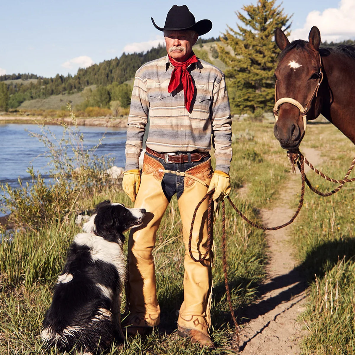 El Presidente 100x Cowboy Hats