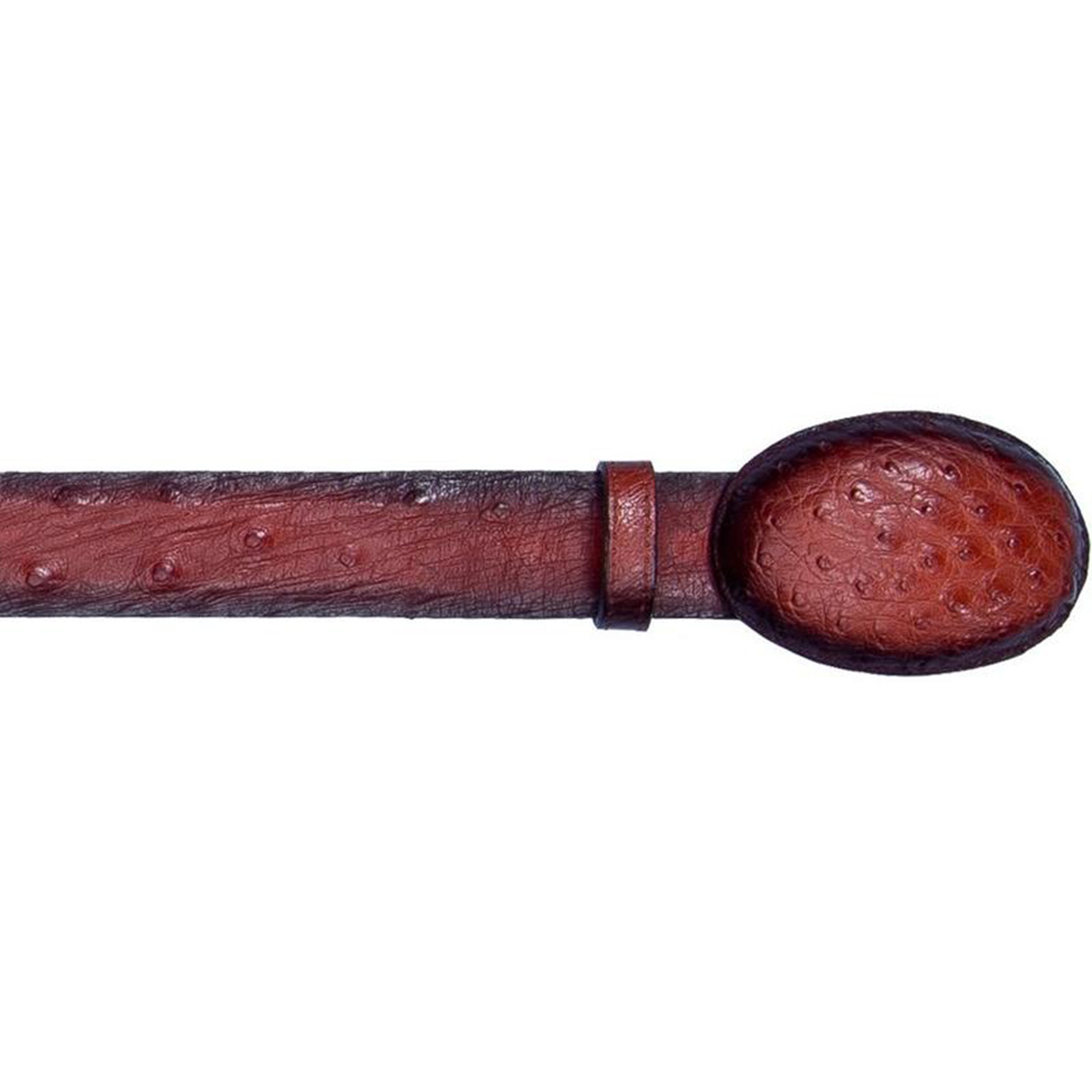 Los Altos Ostrich Cowboy Belt Faded Cognac