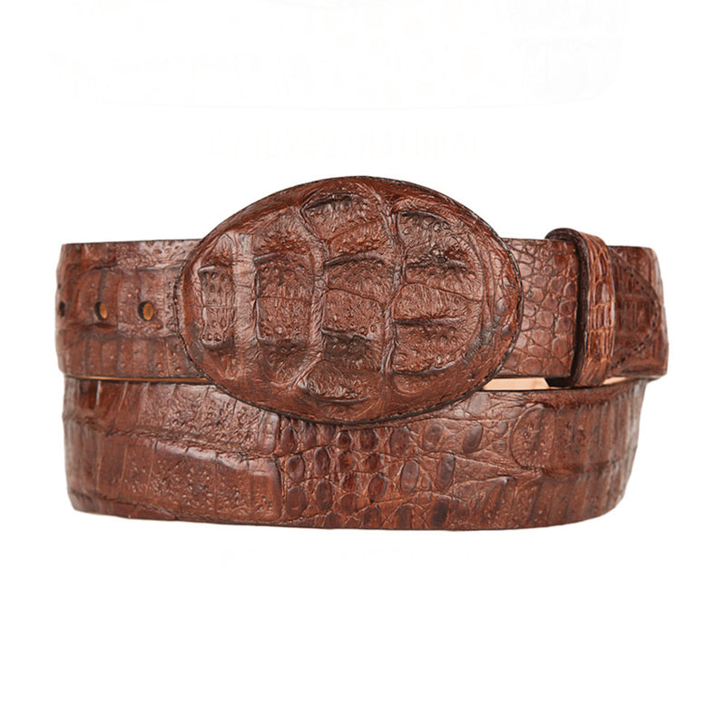 brown caiman belt