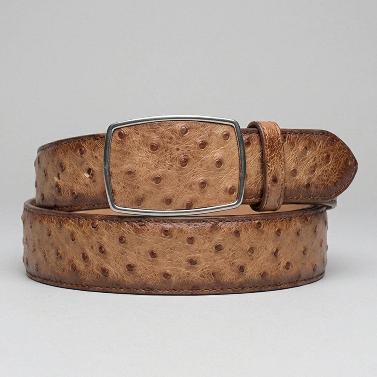 Full Quill Ostrich Belt Moka Brown