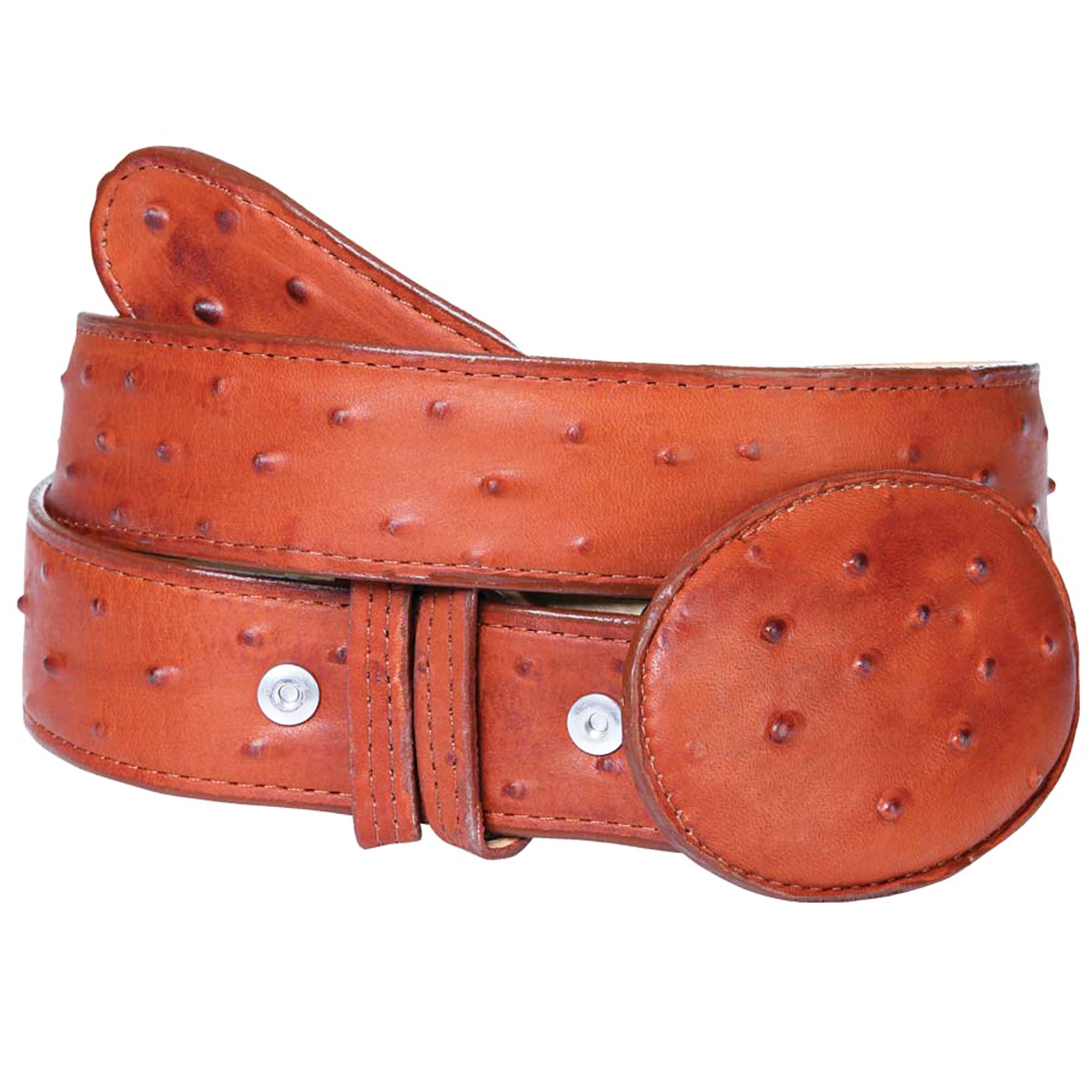 CBelt -Genuine Ostrich Belt- Brown