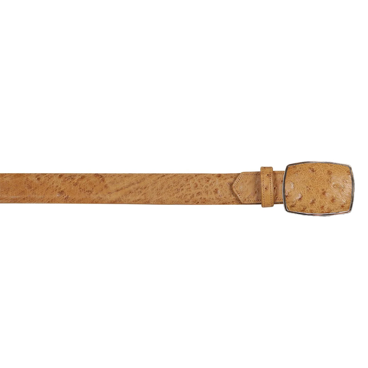 Ambar ostrich belt