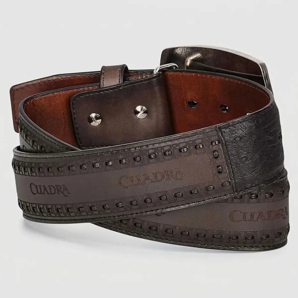 Back view of the Cuadra men's black engraved ostrich leather belt coiled, and laser-engraved strap details.