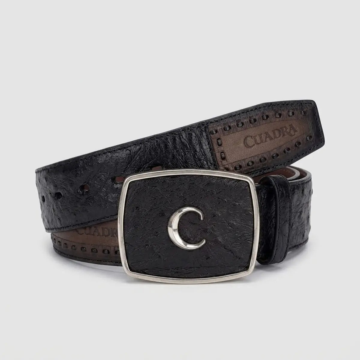 Studio view of the Cuadra men's black engraved ostrich leather belt coiled cleanly to display the 1.47-inch covered buckle, C monogram, and laser-engraved strap details.