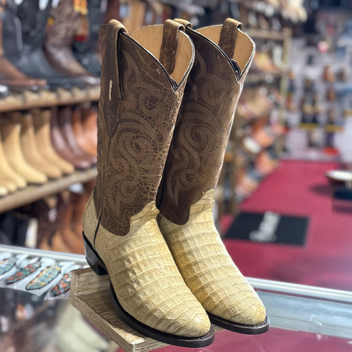 Caiman Belly Crocodile Cowboy Boots