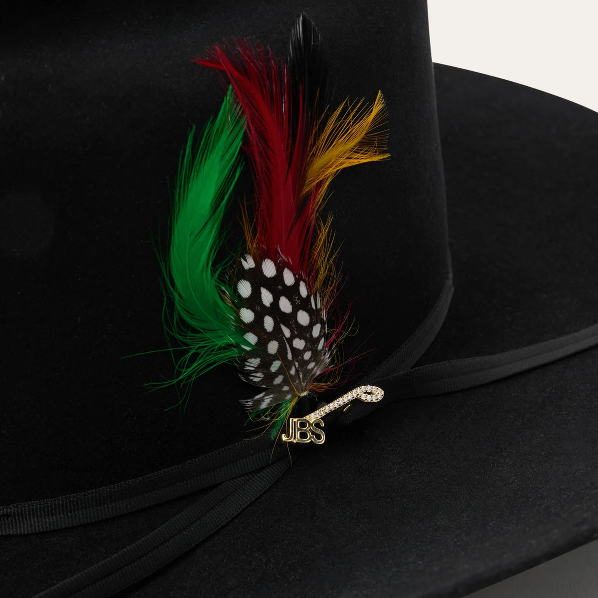 Close-up macro view of the Stetson Rancher 30X hatband featuring the sterling silver JBS branding iron pin with gold overlay, set stones, and multi-color feather.