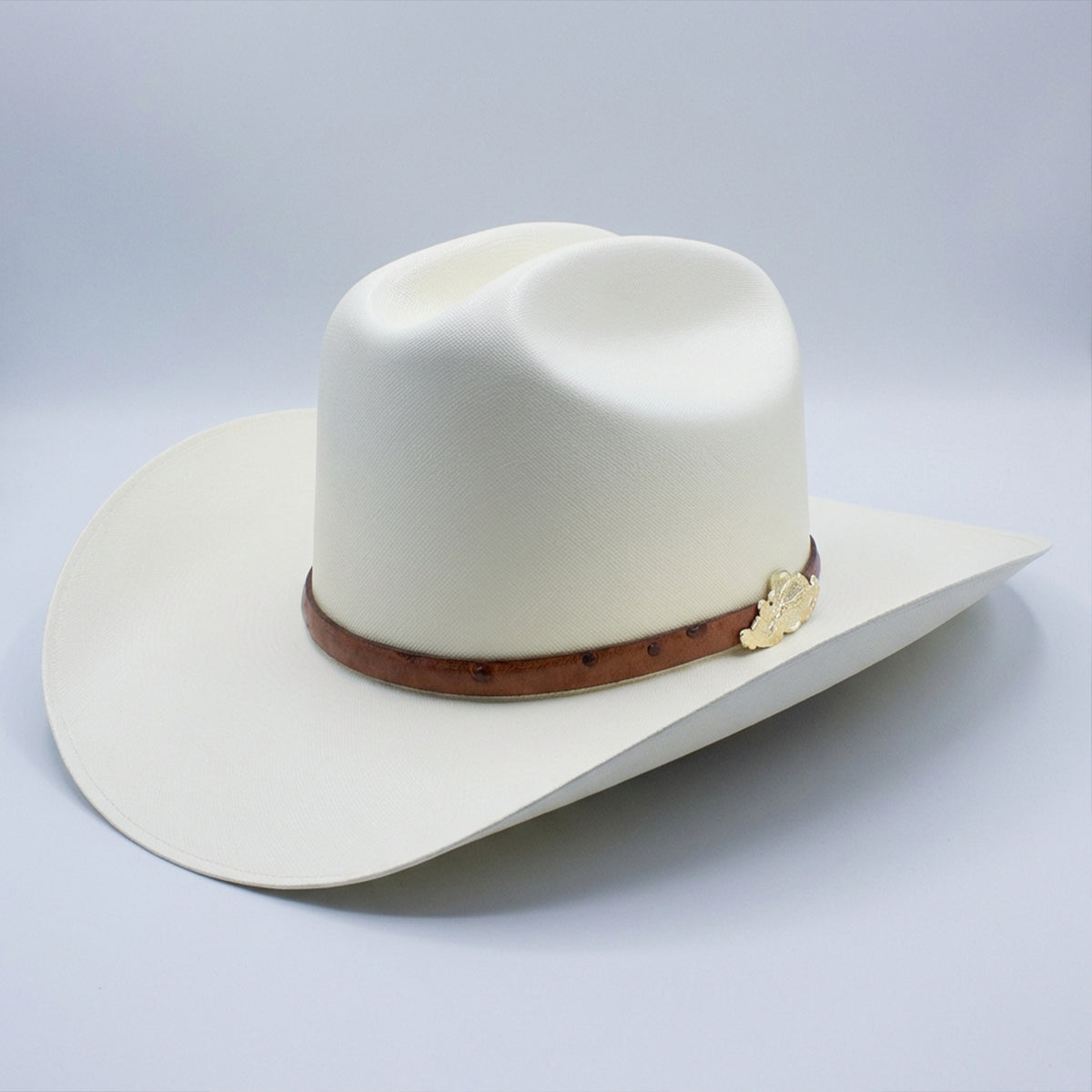 Tombstone 10000x Chaparral Sinaloa Cowboy Hat