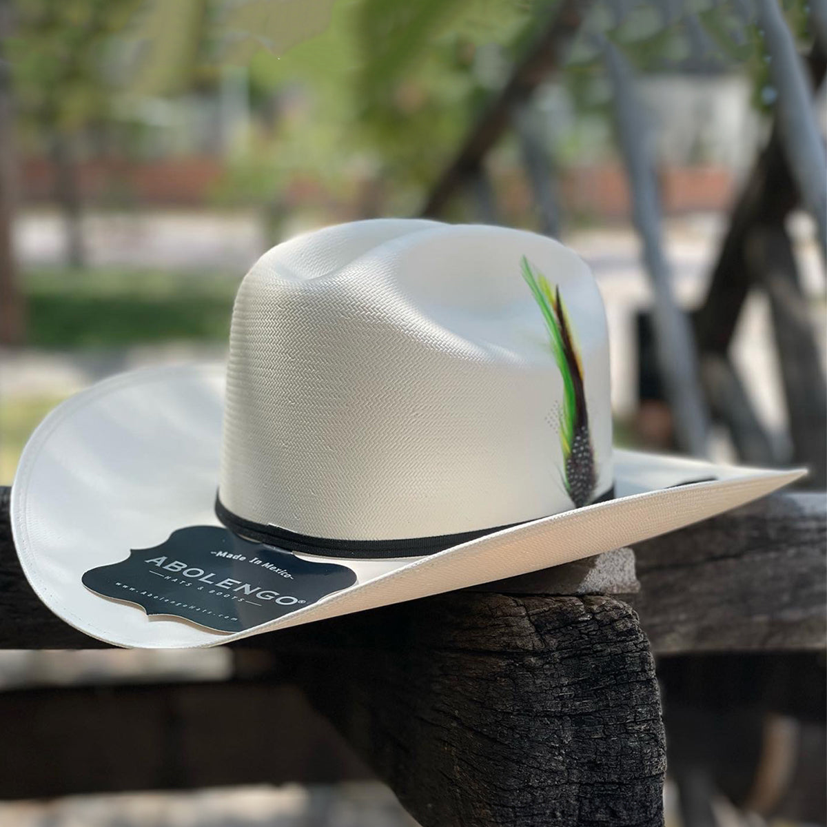 Sombrero estilo Sinaloa de Abolengo