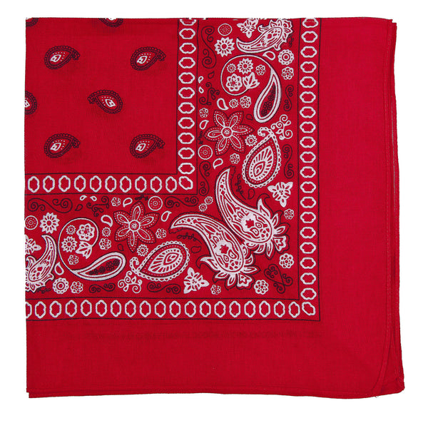Image of red bandana.