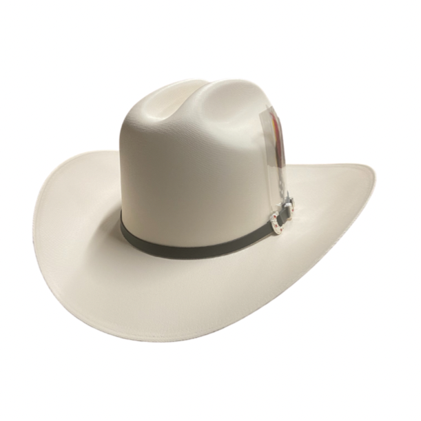 Wild West Woody Gus Cowboy Super Sombrero Rodeo Sombrero